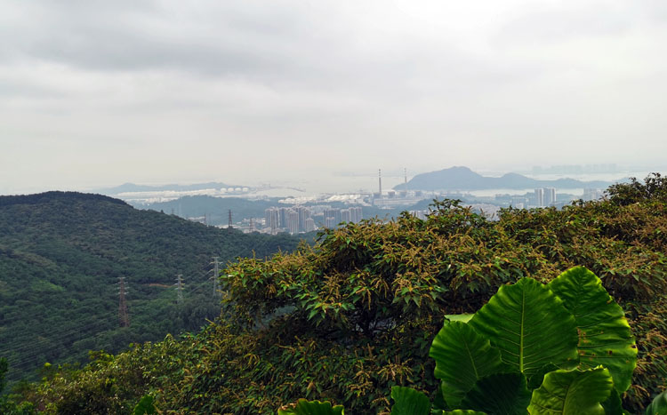 激揚青春、奮勇攀登登山活動